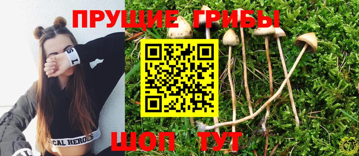 Галлюциногенные грибы Cubensis Еманжелинск